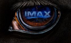 《不》定于7月22日上映，曝IMAX版海报 巨大瞳孔图像令人不寒而栗