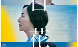 电影《百花》公开海报 菅田将晖长泽雅美饰演夫妇