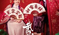被指过度日本化 ，辣目洋子主演剧《我叫刘金凤》遭下架