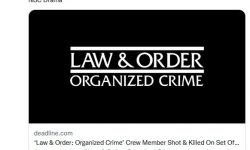 《法律与秩序：组织犯罪》剧组人员在片场被枪击身亡
