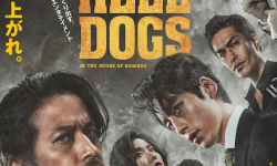 冈田准一主演爆裂卧底《地狱犬》宣传片9月16日上映，导演编剧为原田真人