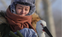 中国2022年度首部生态环保院线电影《等儿的湿地》定档8月19日上映，女孩与东方白鹳双向救赎