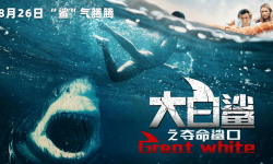 暑期档惊悚颠峰人鲨决战，电影《大白鲨之夺命鲨口》明日开鲨！