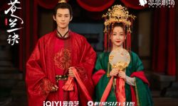 王鹤棣、虞书欣《苍兰诀》将上线网飞，英文片名为《Love Between Fairy and Devil》