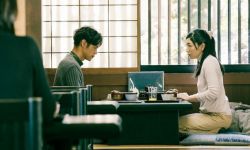 《某个男人》11月18日日本上映，妻夫木聪首演律师搭档安藤樱