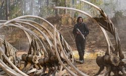科幻惊悚片《逃出白垩纪》北美提档，3月10日北美上映