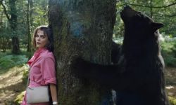 电影《可卡因熊》2月24日上映， 疯狂棕熊袭击负伤警官