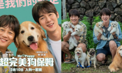 《超完美狗保姆》在韩上映大获好评，柳演锡与车太铉遇见更多惊喜保姆候选人