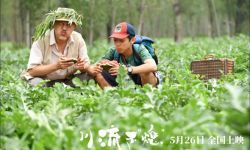 《川流不“熄”》正式宣布5月26日全国上映，久石让等金牌班底助阵