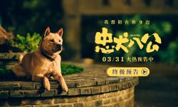 《忠犬八公》3月31日公映，小狗八筒用尽一生等待主人归来