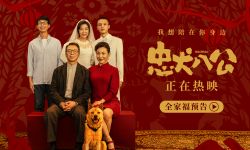 中国版《忠犬八公》曝全新预告海报 观众真情实感促口碑逆袭