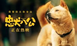 中国版《忠犬八公》全新特辑曝光 狗狗主演竟是流浪狗