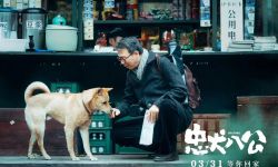 《忠犬八公》：注入民族符号，经典电影的民族化改编