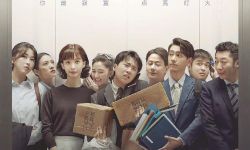 《平凡之路》中央八套收视稳居高位，讲述新人“辛酸”日常