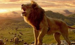 《狮子王》多部续集正在筹备，迪士尼希望将其打造成类似于《星球大战》的系列电影