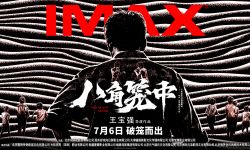 王宝强六年打磨现实题材电影《八角笼中》，7月6日登陆IMAX影院