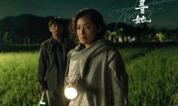 舒淇白客成CP、大鹏贡献神演技，《寻她》《不虚此行》《第八个嫌疑人》主竞赛华语片到底咋样？