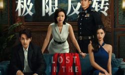 本周10部新片上映，包括《消失的她》等