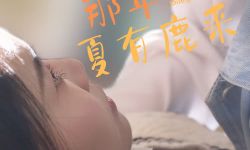 短剧《那年夏有鹿来》在宁波开机，导演和谐执导