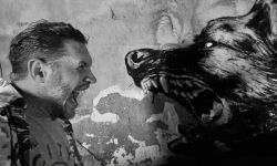 《毒液3》2024年10月上映， 汤姆·哈迪对野狼做撕咬动作