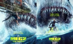受美国演员罢工影响， 《巨齿鲨2》伦敦首映礼取消