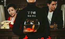 电影《里奇不眠夜》8月29日全国上映， 掀起电影新国潮