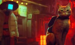 赛博朋克猫咪冒险游戏《Stray》将被改编动画电影，一部关于猫和机器人的伙伴喜剧