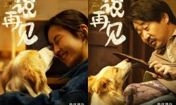 张子枫、王景春新片《说再见》立项， 讲述女孩小满艰难求生的故事