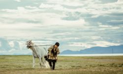 电影《江米儿》在全国艺联专线上映，讲述马背上的少年梦