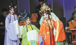音乐会《京韵红楼》在国图艺术中心上演，由“歌”入“梦”活化经典