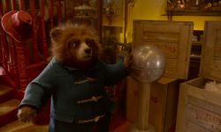 真人动画电影《帕丁顿熊》系列第三部作品《帕丁顿熊在秘鲁》杀青，预计2024年夏天公映