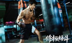 《终极格斗》预计在2024年上映， 吴晓亮柳岩领衔冲击拳台极限