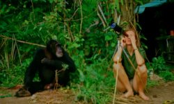 纪录电影神作！《珍·古道尔的传奇一生》展现人与自然的对话