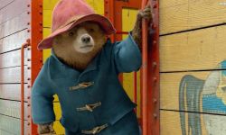 《帕丁顿熊3》定档2025年北美上映，小熊返乡