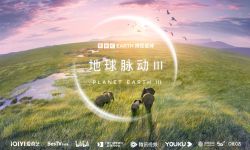 BBC蓝筹巨制《地球脉动III》10月29日登陆上海纪实人文频道，献给大自然的礼赞