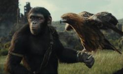 《猩球崛起4》明年5月24日北美上映，讲述凯撒去世后的故事