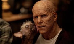 《死侍3》定档2024年7月26日上映， “小贱贱”与“死侍狗”登场