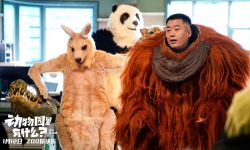 《动物园里有什么？》2024年1月12日上映，熊猫玩单杠猩猩炫酒