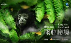 纪录片《中国海南·雨林秘境》2024年上半年国际首播，展现国家公园里的隐秘生活
