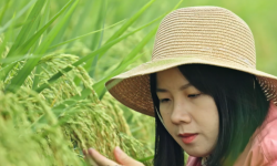 《加油新农人》首播系列开播，听听中国青年的返乡创业故事