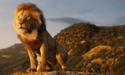 《狮子王》前传揭秘木法沙如何成王，12月20日在北美上映