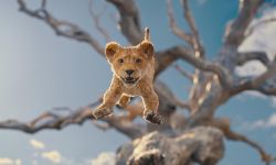 《狮子王》前传《狮子王：木法沙传奇》首曝中字预告，今年12月20日北美上映
