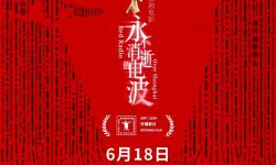 上海电影节官宣开幕片，郑大圣担任总导演、崔轶担任导演