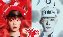 真人版《工作细胞》首曝预告，今年12月日本上映
