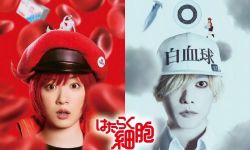 真人版《工作细胞》12月在日本上映，佐藤健、永野芽郁主演 