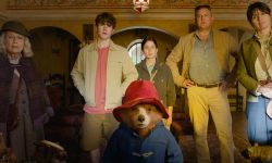 《帕丁顿熊3》明年1月17日北美上映，熊熊来到秘鲁丛林探险