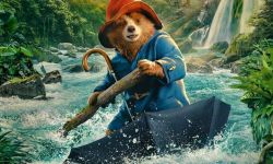 《帕丁顿熊3》11月8日在英国上映，勇敢熊熊亚马逊大冒险