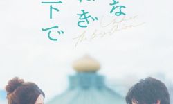 樱田日和、神尾枫珠双主演《在大洋葱下》曝预告，2025年2月7日在日本上映