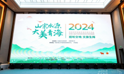 2024网络视听赋能青海文旅交流会暨第九届中国网络视频学院榜盛典在青海举办，郭虎获“年度网络剧导演”