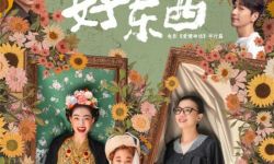 《好东西》官宣定档11月22日全国上映，宋佳钟楚曦女性视角看爱情 